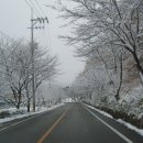 김봉구농장 Daum카페