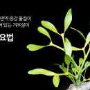 유호여성의원 이미지