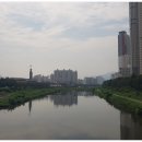 마전숲공원(서부제3호공원) 이미지