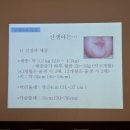 청솔세탁 | [산모교실] 부산 롯데백화점 4월 맘스스토리 산모교실 참석 상세 후기😊