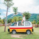 미성농장 | 베트남 나트랑 자유여행 일정 3일투어 비용 판랑사막