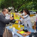 흥천초등학교 이미지