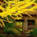 (주)우리사랑 이미지
