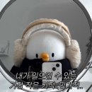 풍기삼 | [짤공유] 귀여운짤 동물짤 캐릭터짤 공유(13)