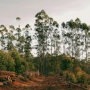 법원주유소 이미지