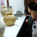 한남대학교 자연사박물관 이미지