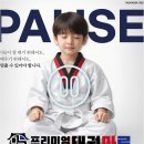 프리미엄 태권마루 태권도장 이미지