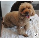 지누동물병원 이미지