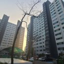 중로(국)3-3-1 이미지