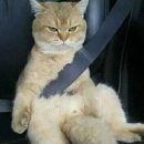 이로움기획 이미지