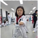 베스트 연세 태권도 이미지