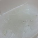 세정테라피
