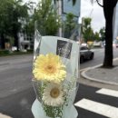 성지연 | 다이렉트 웨딩 플래너 추천, 성지연 플래너님