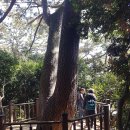 예구항 이미지