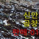 가메스시 이미지