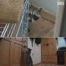 형철농장 네이버블로그