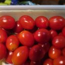 육백산 사슴농장 이미지