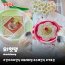 공주허브다이어트 | 강아지자연식 오!잇댕 | 기호성 좋은 프리미엄 수제간식 화식 솔직후기
