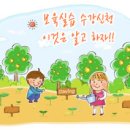 보육실습 이미지