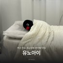 부산진여자중학교 | 전포속눈썹펌 맛집 뷰러펌 전문 유노아이 방문 후기