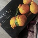 해리쓰 | 01. 23년 적응기 !