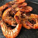 대기리산촌체험학교 야영장 이미지