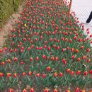 평촌공원 이미지