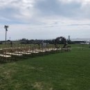 뉴월드손세차장 이미지