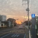 김녕환승정류장 이미지