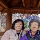 숲길 걷기 동아리 활동 이미지