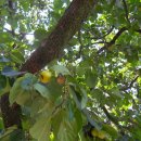 금강정비 이미지