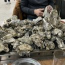 도희네 장어 이미지