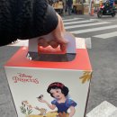 뚜레쥬르공주
