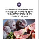 홍집농장 네이버블로그