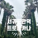 안덕농장 네이버블로그