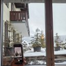 4137 | [스위스 그린델발트] 앨리스 할머니 샬레 Schwalbennest 4137 방 솔직 후기, 예약 방법