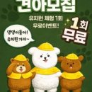 비비몽 | 비비몽 애견 미용.호텔.유치원 믿고 맡길 수 있는 비비몽의 매력