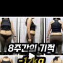 피티일프로 이미지