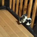 스테이 하루비 춘일 | 춘천여행 감성 숙소 추천 | 스테이하루비춘일 펜션