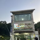 부천 원미산 근처 메밀국수 맛집 소바애 부천본점 내돈내산 후기
