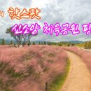 신소양 티스토리