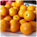 낑깡이랑 | 제주금귤 코지푸드 낑깡 과육 가득 상큼 달콤