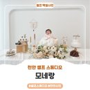 대전에서 천안까지 가서 찍은 라희 셀프 백일사진, 천안 모네랑 스튜디오 후기