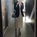 디테스