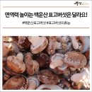 영농조합법인 숲향 이미지