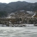 장수송학골로2 Daum카페