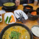 초담 | [파주.운정]파김치 맛이 즥이는 초담추어탕 몸보신 후기