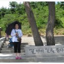 낙산의상대 이미지