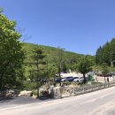 그린제일목장 이미지