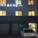 디아크골프랩